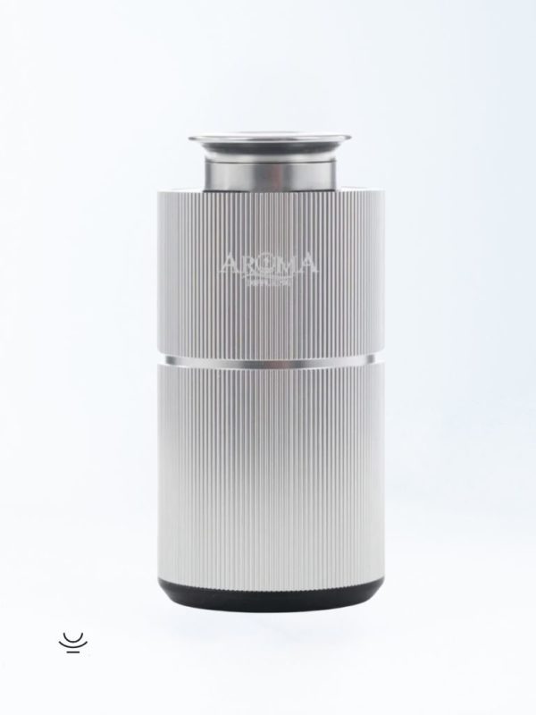 Diffuseur parfum et huiles essentielles - Argent