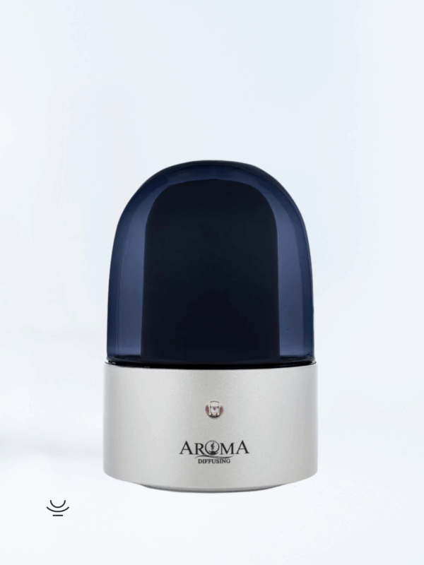 Diffuseur de parfum – Brumisation à froid - Argent