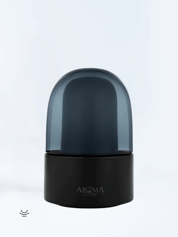 Diffuseur de parfum – Brumisation à froid - Noir